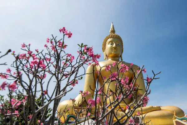 Wat Muang Vesnici Wiset Chai Chan Provincii Ang Thong Thajsku — Stock fotografie