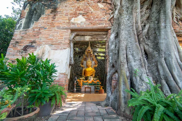 Ang Thong şehrindeki Wat Sang Kratai Tayland 'da Ang Thong, Ang Thong, Kasım 2022