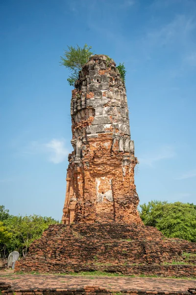 Temple Stupa Wat Lokayasutharam City Ayutthaya Province Ayutthaya Thailand Thailand — Stock Photo, Image