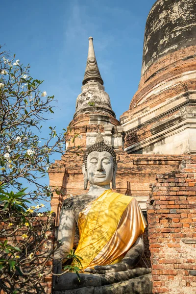 Buddha Con Chedi Del Wat Yai Chai Mongkon Nella Città — Foto Stock
