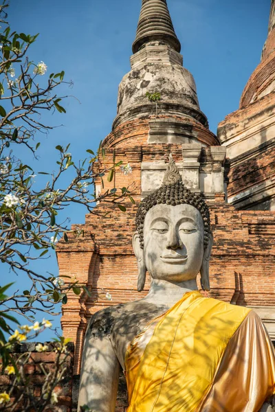Buddha Con Chedi Del Wat Yai Chai Mongkon Nella Città — Foto Stock