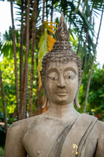Budda Wat Yai Chai Mongkon Mieście Ayutthaya Prowincji Ayutthaya Tajlandii — Zdjęcie stockowe