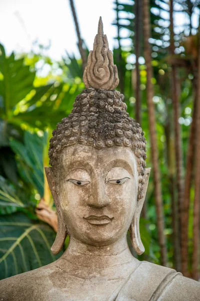 Budda Wat Yai Chai Mongkon Mieście Ayutthaya Prowincji Ayutthaya Tajlandii — Zdjęcie stockowe