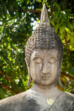 Tayland 'ın Ayutthaya eyâletindeki Wat Yai Chai Mongkon' da bir Buda, Kasım 2022