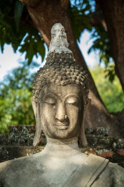 Tayland 'ın Ayutthaya eyâletindeki Wat Yai Chai Mongkon' da bir Buda, Kasım 2022