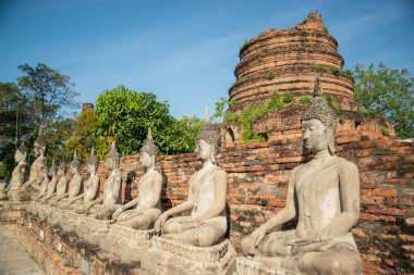 Tayland 'ın Ayutthaya eyaleti Ayutthaya kentinde Ayutthaya şehrinde Wat Yai Chai Mongkon' un Chedi 'si ile birlikte bir Buda, Kasım 2022