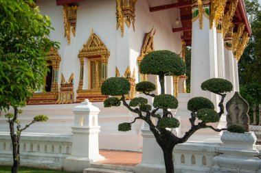 Wat Suwan Dararam Ratchaworawihan Tayland 'ın Ayutthaya iline bağlı Ayutthaya kentinde, Kasım 2022