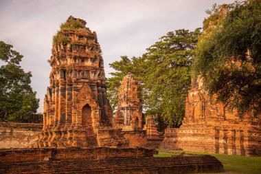 Tayland 'ın Ayutthaya iline bağlı Ayutthaya kentinde, Wat Mahathat Tempe kalıntıları, Kasım 2022