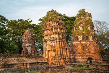 Tayland 'ın Ayutthaya iline bağlı Ayutthaya kentinde, Wat Mahathat Tempe kalıntıları, Kasım 2022