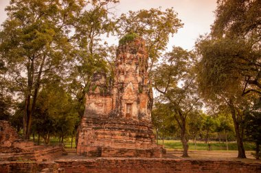 Tayland 'ın Ayutthaya iline bağlı Ayutthaya kentinde, Wat Mahathat Tempe kalıntıları, Kasım 2022