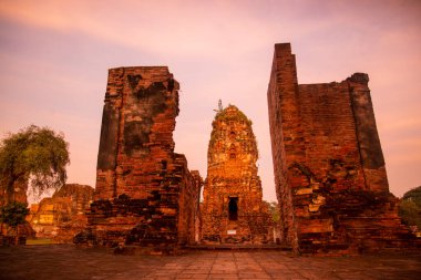 Tayland 'ın Ayutthaya iline bağlı Ayutthaya kentinde, Wat Mahathat Tempe kalıntıları, Kasım 2022