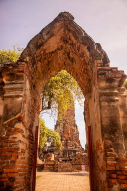 Ayutthaya şehrindeki Wat Phra Ram Tapınağı Tayland 'da Ayutthaya ili, Ayutthaya, Ayutthaya, Kasım 2022