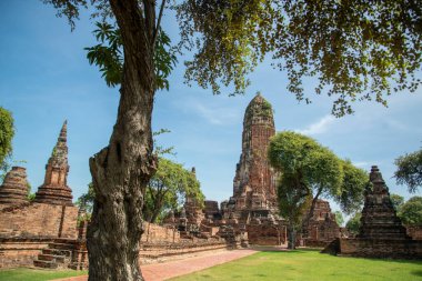 Ayutthaya şehrindeki Wat Phra Ram Tapınağı Tayland 'da Ayutthaya ili, Ayutthaya, Ayutthaya, Kasım 2022