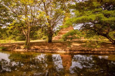 Ayutthaya şehrindeki Wat Chediyai Tapınağı kalıntıları Tayland, Tayland, Ayutthaya, Ayutthaya, Kasım 2022