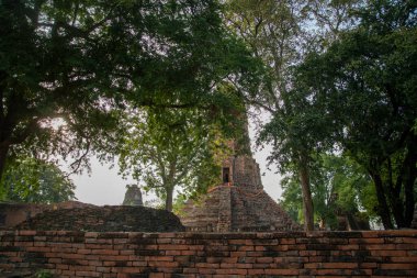 Ayutthaya şehrindeki Wat Worachet Tapınağı kalıntıları Tayland 'ın Ayutthaya eyaleti, Ayutthaya, Kasım 2022