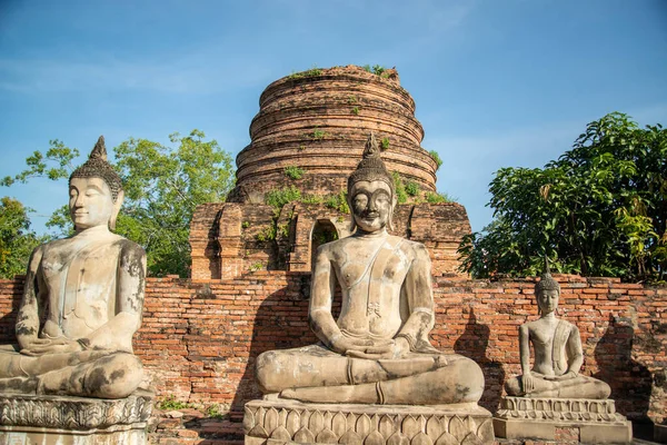 Buddha Chedi Wat Yai Chai Mongkon Městě Ayutthaya Provincii Ayutthaya — Stock fotografie