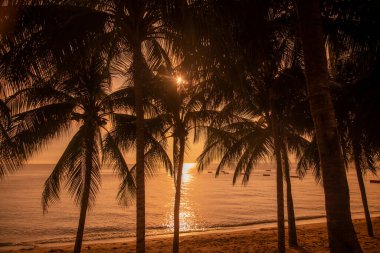 Umbrella for rent at the Beach and coast at the Beach Road in the city of Jomtien near Pattaya in the Province of Chonburi in Thailand,  Thailand, Jomtien, November, 2022