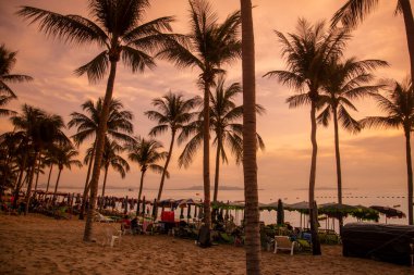 Umbrella for rent at the Beach and coast at the Beach Road in the city of Jomtien near Pattaya in the Province of Chonburi in Thailand,  Thailand, Jomtien, November, 2022