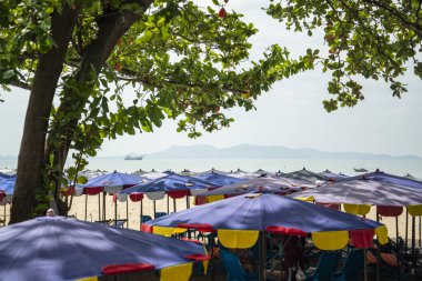 Umbrella for rent at the Beach and coast at the Beach Road in the city of Jomtien near Pattaya in the Province of Chonburi in Thailand,  Thailand, Jomtien, November, 2022