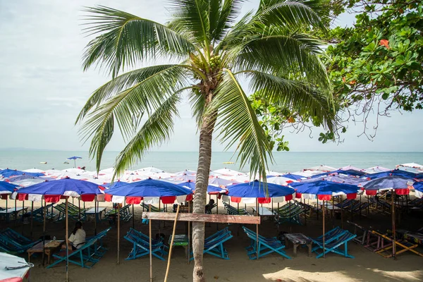 Umbrella Rent Beach Coast Beach Road City Jomtien Pattaya Province —  Fotos de Stock