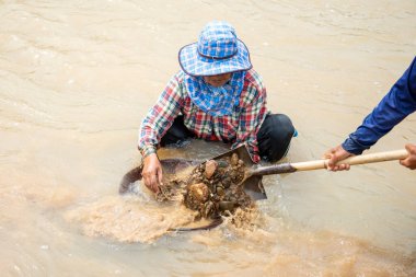 people are Gold washing at the Klong Thong River at tambon Ron Thong Village near the Town of Bang Saphan in the Province of Prachuap Khiri Khan in Thailand,  Thailand, Bang Saphan, December, 2022