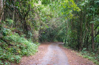 the road to the Sai Khu Waterfall near the Town of Bang Saphan in the Province of Prachuap Khiri Khan in Thailand,  Thailand, Bang Saphan, December, 2022
