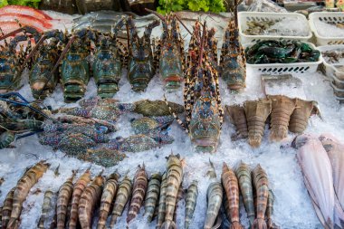 Thai Seafood at a Restaurant on the Nightmarket in the City of Hua Hin in the Province of Prachuap Khiri Khan in Thailand,  Thailand, Hua Hin, December, 2022