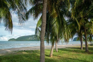 the Beach and Coast at Dolphin bay at the Hat Sam Roi Yot in the Province of Prachuap Khiri Khan in Thailand,  Thailand, Hua Hin, December, 2022