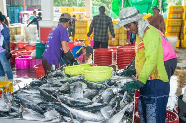 The Fish Market and Harbour at the Pak Nam Pran Fishing Village near the City of Hua Hin in the Province of Prachuap Khiri Khan in Thailand,  Thailand, Hua Hin, November, 2022