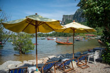 Tayland 'da Prachuap Khiri Khan, Tayland' da Phrachuap Khiri Khan şehrindeki Khao Ta Mong Lai Orman Parkı 'nda peyzaj ve sahile sahip bir sahil.