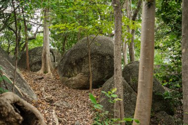 Thailand, Tayland 'daki Prachuap Khiri Khan ilindeki Phrachuap Khiri Khan kenti yakınlarındaki Dan Singkhon Köyü yakınlarındaki Khao Hin Thoen Taş Parkı, Prachuap Khiri Han, Aralık 2022