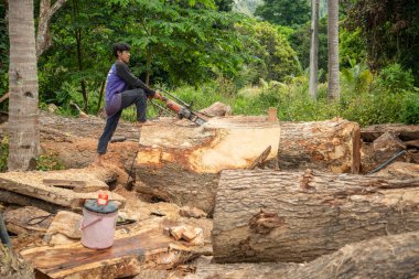 Tayland sınırındaki tropikal marangoz ve Tayland 'daki Prachuap Khiri Khan, Tayland' daki Prachuap Khiri Khan kenti yakınlarındaki Dan Singkhon 'daki Myanmar Sınır Marketi, Aralık 2022