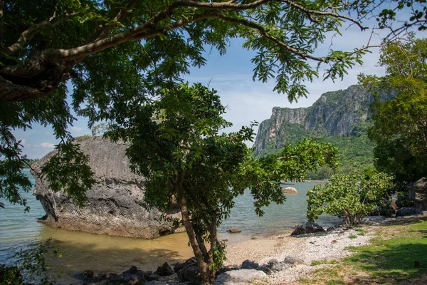 2022年12月 タイのプラチャップハリカーン県プラチャップハリカーン市のカオタ モンライ森林公園の景観と海岸 プラチャップハリカーン — ストック写真