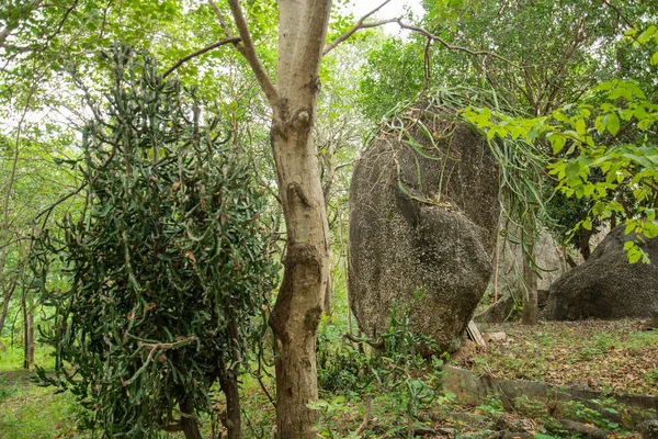 Thailand, Tayland 'daki Prachuap Khiri Khan ilindeki Phrachuap Khiri Khan kenti yakınlarındaki Dan Singkhon Köyü yakınlarındaki Khao Hin Thoen Taş Parkı, Prachuap Khiri Han, Aralık 2022