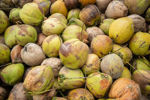 Plantacja Orzechów Kokosowych Wiosce Niedaleko Miasta Phrachuap Khiri Khan Prowincji — Zdjęcie stockowe