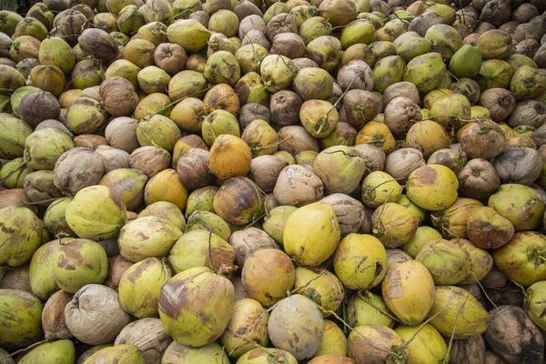 Een Kokosplantage Een Dorp Buurt Van Stad Phrachuap Khiri Khan — Stockfoto