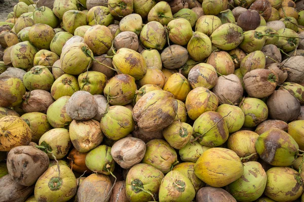 Een Kokosplantage Een Dorp Buurt Van Stad Phrachuap Khiri Khan — Stockfoto