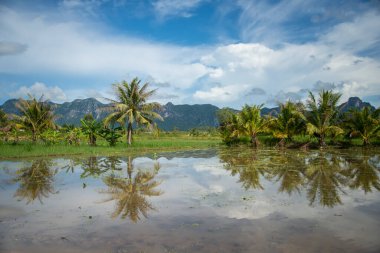Tayland 'da Prachuap Khiri Khan ilindeki Kui Buri Köyü yakınlarındaki peyzaj ve tarlalar Kasım 2022