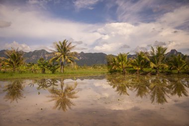 Tayland 'da Prachuap Khiri Khan ilindeki Kui Buri Köyü yakınlarındaki peyzaj ve tarlalar Kasım 2022