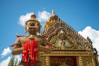 Wat Khao Kalok, Tayland 'ın Prachuap Khiri Han kenti yakınlarındaki Khao Kalok ve Pranburi köyünde, Hua Hin, Aralık 2022