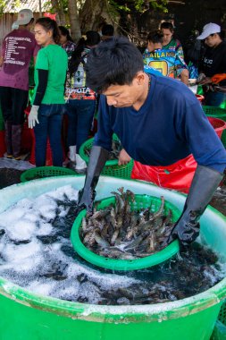 İnsanlar Tayland 'da Prachuap Khiri Han' daki Sam Roi Yot Milli Parkı 'ndaki Khao Daeng köyü yakınlarındaki Karides Çiftliği' nden taze karides kazanıyorlar.