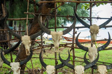 Tayland 'da Prachuap Khiri Khan, Tayland, Hua Hin, Aralık 2022' de Dolphin Körfezi 'nde ve Dolphin Körfezi' nde süslü bir bar.