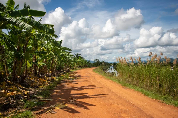 stock image a road in the Landscape and Fields near the Village of Kui Buri at the Hat Sam Roi Yot in the Province of Prachuap Khiri Khan in Thailand,  Thailand, Hua Hin, November, 2022