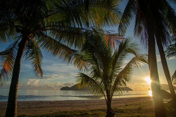 Утро Ландшафтным Дизайном Пляжа Побережья Заливе Дельфин Острове Сэм Рой — стоковое фото