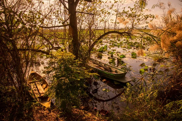 Wood Boat Krajině Lotosové Bažiny Sam Roi Yot Blízkosti Vesnice — Stock fotografie