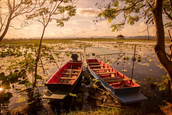 Tour Wood Boat Landscape Lotus Swamp Sam Roi Yot Dekat — Stok Foto