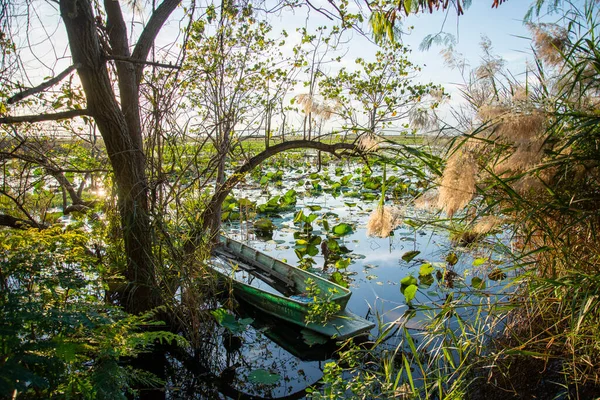 Wood Boat Landscape Lotus Swamp Sam Roi Yot Village Kui — 스톡 사진
