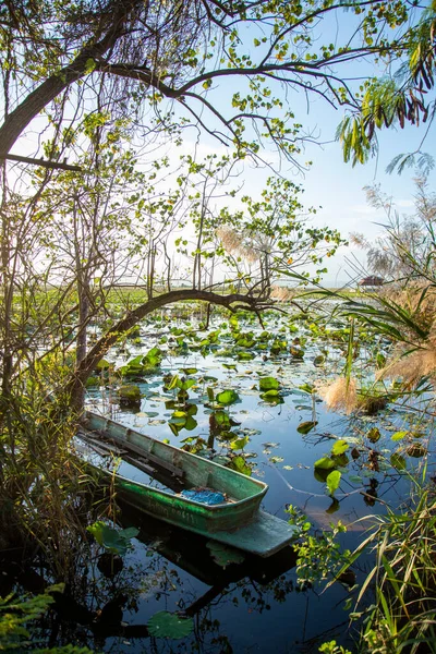 Wood Boat Landscape Lotus Swamp Sam Roi Yot Village Kui — Foto de Stock