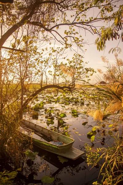 Wood Boat Landscape Lotus Swamp Sam Roi Yot Village Kui — Stock Photo, Image