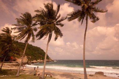 Tayland 'ın Surat Thani ilindeki Ko Tao Adası' ndaki Aow Leuk Sahili 'nin Sahil ve Manzarası, Mart 2010